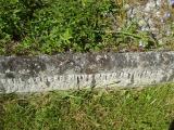 image of grave number 313167